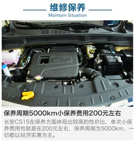 近期上市热门SUV到店调查