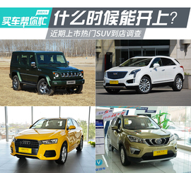 近期上市热门SUV到店调查