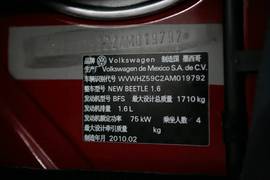 大众New