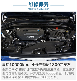 5月4款热门车型到店调查