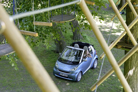 2011款smart