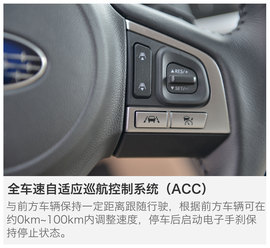 试驾斯巴鲁全系