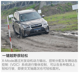 试驾斯巴鲁全系