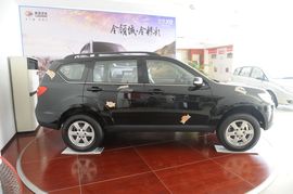 2009款陆风X8