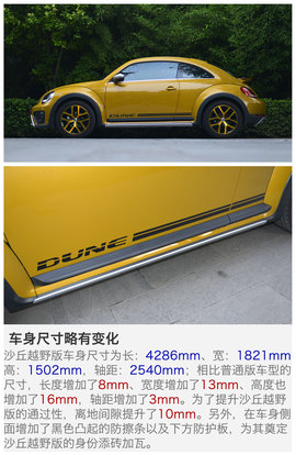 甲壳虫
