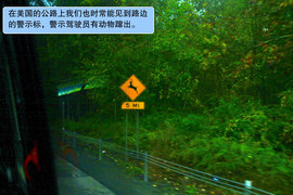 凯迪拉克CTS-V高级驾驶培训测试实拍