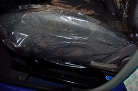 2010款江南奥拓0.8L手动标准型