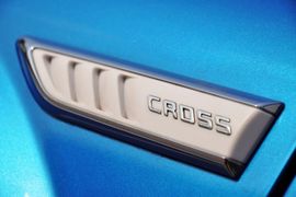 2010款骏捷CROSS