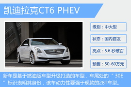 成都车展新能源阵容