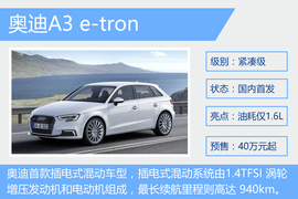 成都车展新能源阵容