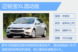 成都车展新能源阵容