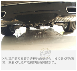 线条优美的长轴距