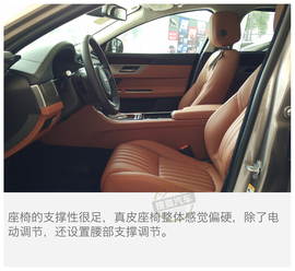 线条优美的长轴距