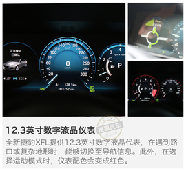 线条优美的长轴距