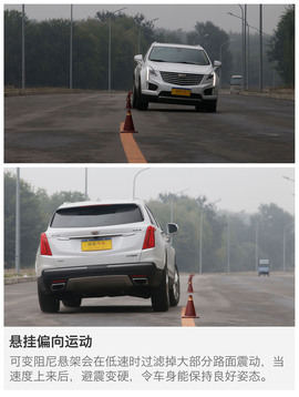 动态