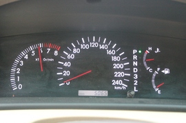 花冠的内饰