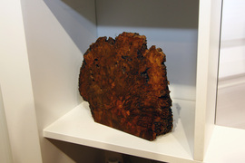 图解2011款宾利欧陆GT