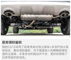 另一只豹子的进化论