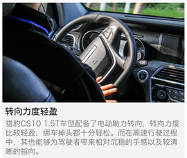 另一只豹子的进化论