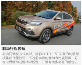 另一只豹子的进化论