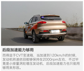 另一只豹子的进化论