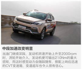 另一只豹子的进化论