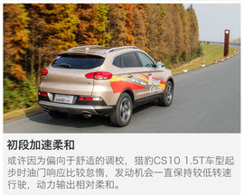 另一只豹子的进化论