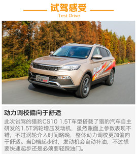 另一只豹子的进化论