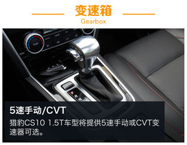 另一只豹子的进化论