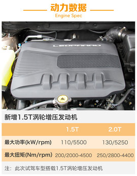 另一只豹子的进化论