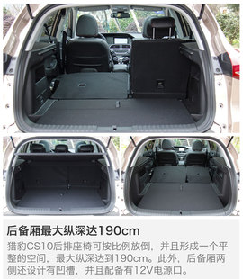 另一只豹子的进化论