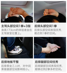 另一只豹子的进化论