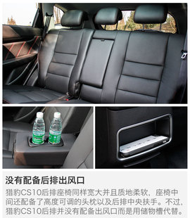 另一只豹子的进化论