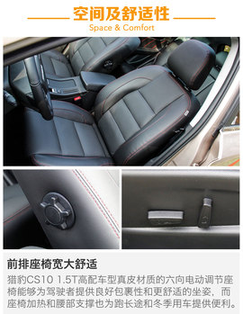 另一只豹子的进化论