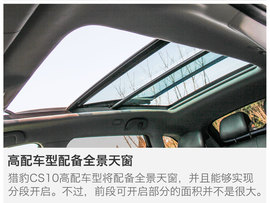 另一只豹子的进化论