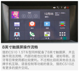 另一只豹子的进化论