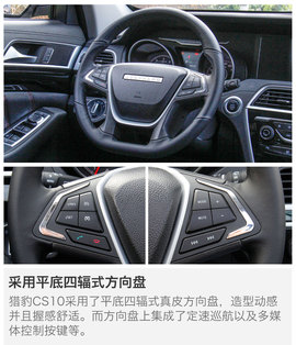 另一只豹子的进化论