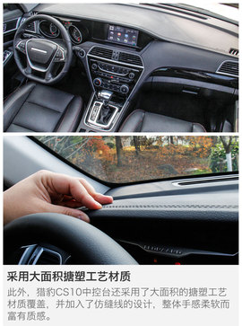 另一只豹子的进化论