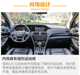 另一只豹子的进化论