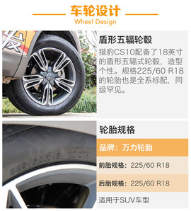 另一只豹子的进化论