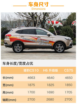 另一只豹子的进化论