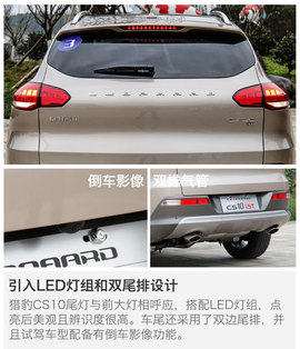 另一只豹子的进化论