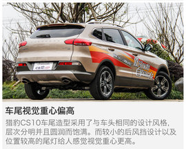 另一只豹子的进化论