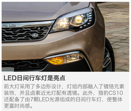 另一只豹子的进化论