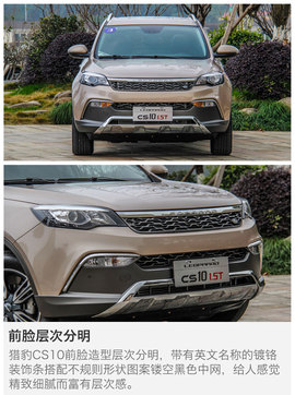 另一只豹子的进化论