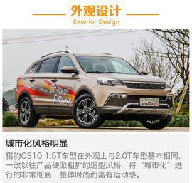 另一只豹子的进化论