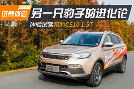 另一只豹子的进化论