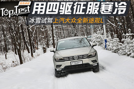 2017款途观L