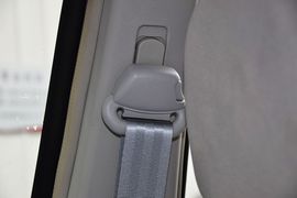 2011款江淮瑞鹰2.0L两驱豪华版