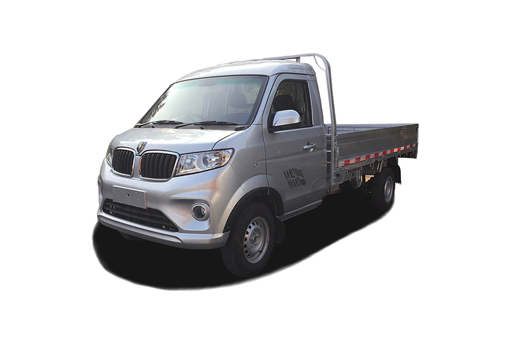 新海豚EV